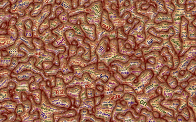 Función cognitiva o cognición