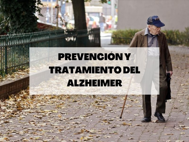 prevencion-alzheimer